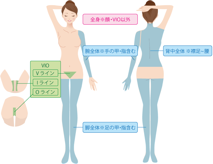 セットメニュー